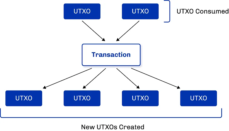 Cardano: The Unmatched Moat in L1 Smart Contract Space